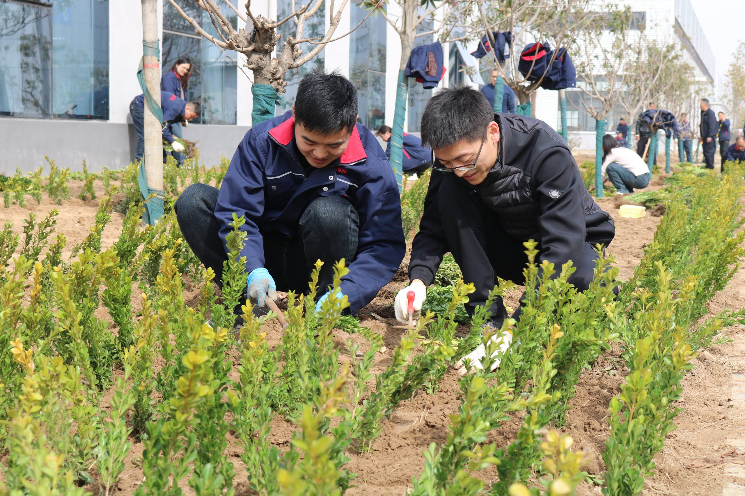 Li-Ying Team Mobilizes for National Planting Day